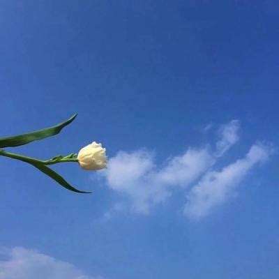 微信奇迹仙侠手游下载
