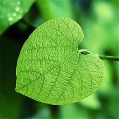 胡军：深刻把握生态环境保护督察制度内涵意蕴——深入学习贯彻《生态环境保护督察工作条例》